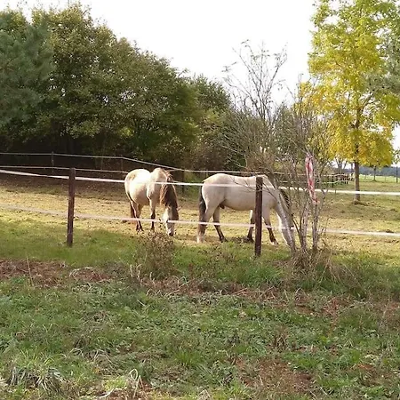 La Poudriere : Lieu Insolite, Havre De Paix Vielsalm